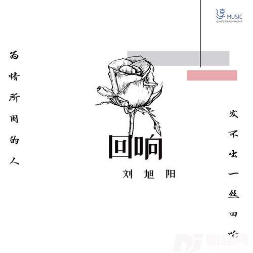 回响的专辑