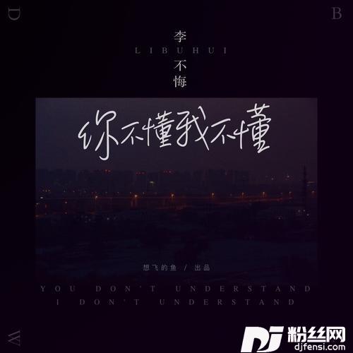 你不懂我不懂