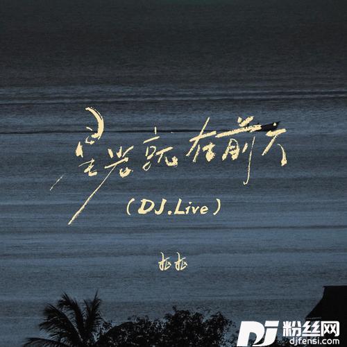 星光就在前方DJ豪大大版