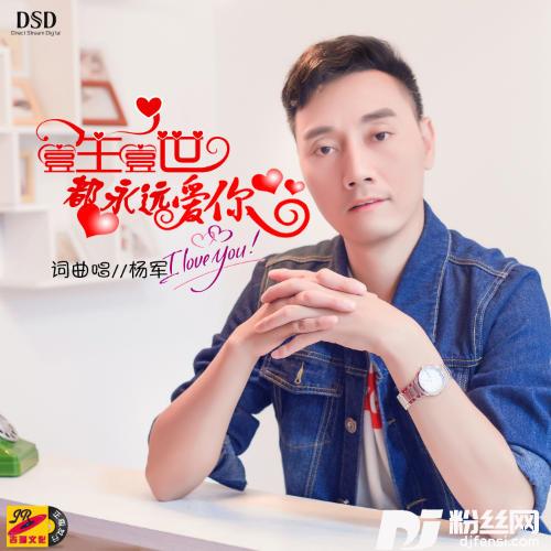 一生一世都永远爱你的专辑