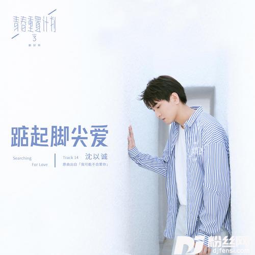 踮起脚尖爱的专辑