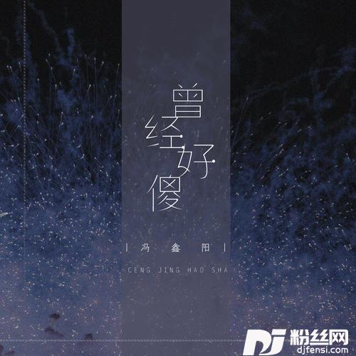 曾经好傻DJ阳少版的专辑