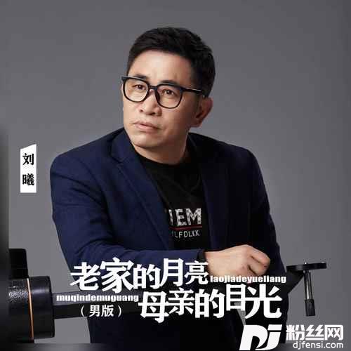 老家的月亮母亲的目光男版