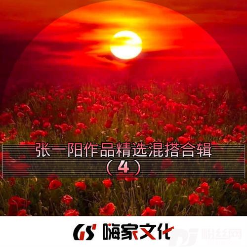 下雨天抖音DJ版的专辑