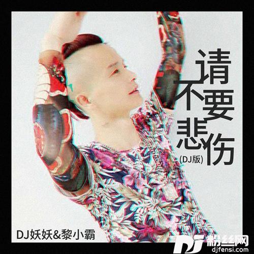 请不要悲伤DJ版的专辑