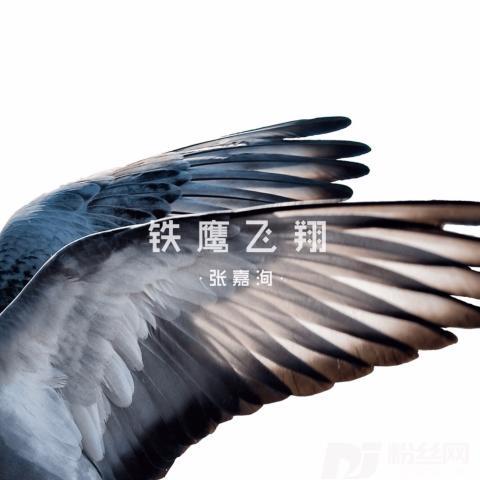 铁鹰飞翔