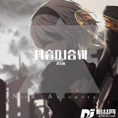 侧脸DJ电摇版