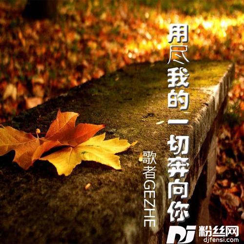用尽我的一切奔向你