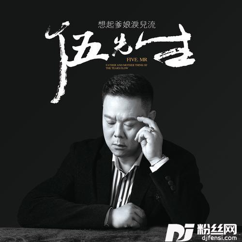 想起爹娘泪儿流（DJ默涵版）Remix