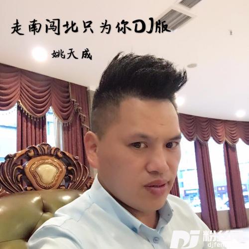 走南闯北只为你DJ版