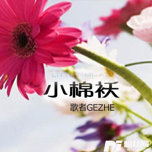 小棉袄的专辑