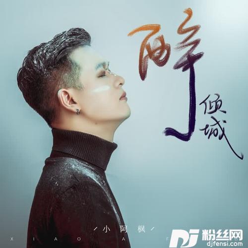 醉倾城DJ名龙版的专辑