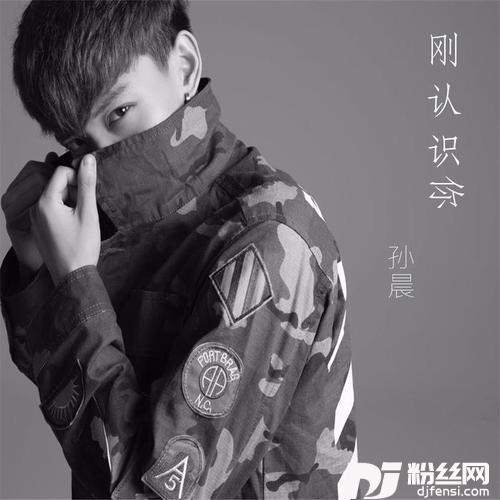 刚认识你的专辑