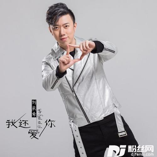 我还爱你DJ版