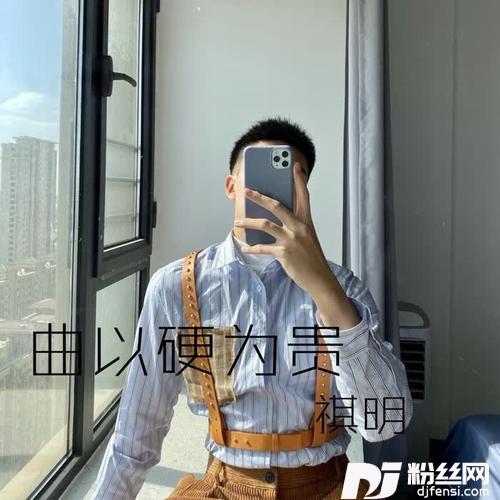 站得更高看的更远DJ版