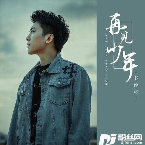 再见，少年的专辑