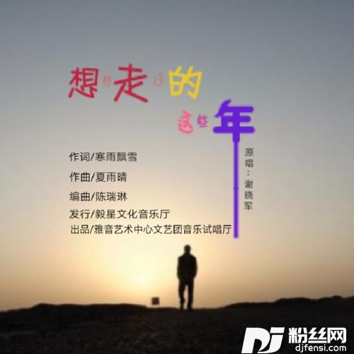 想想走过的这些年remix:谢晓军