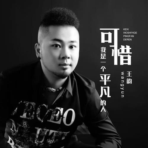 可惜我是一个平凡的人的专辑