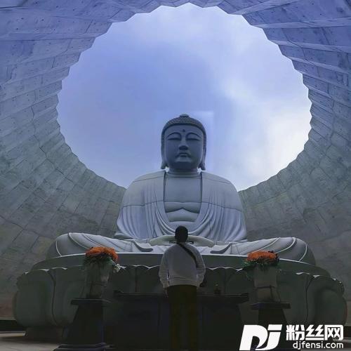 平凡的日子里的挣扎cover:曾抖抖