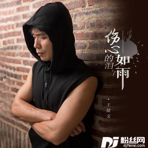 伤心的泪如雨DJ默涵版的专辑