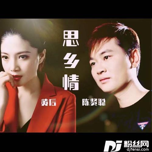 思乡情（Dj沈念版）