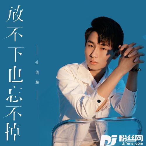放不下也忘不掉DJ彭锐版