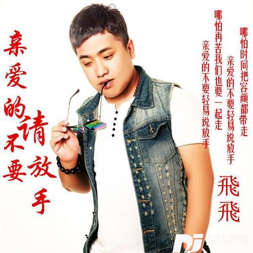 亲爱的请不要放手的专辑