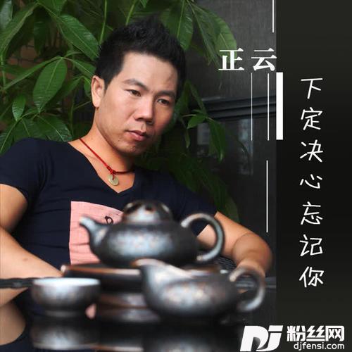下定决心忘记你的专辑