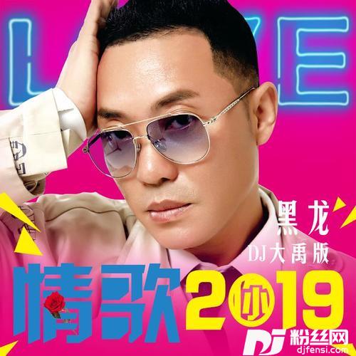 情歌2019DJ大禹版