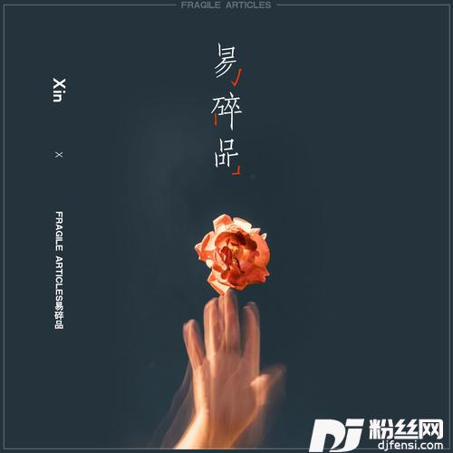 易碎品DJ阿豪版