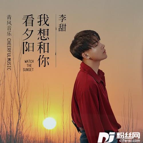 我想和你看夕阳
