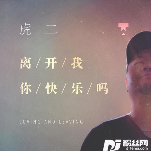 离开我你快乐吗DJ版