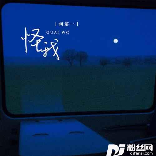 怪我