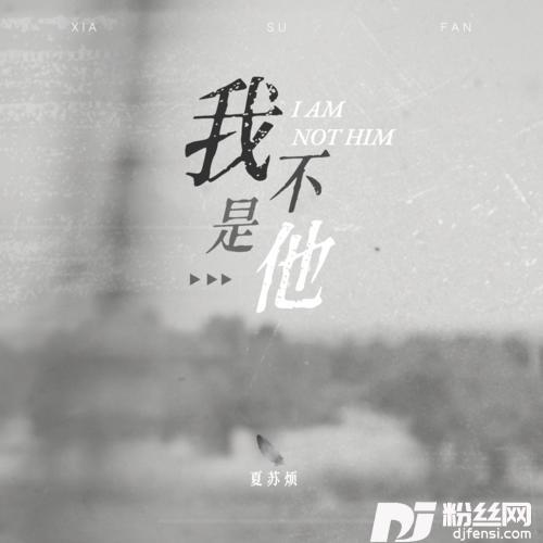 我不是他DJ阿卓版的专辑