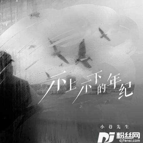 不上不下的年纪的专辑
