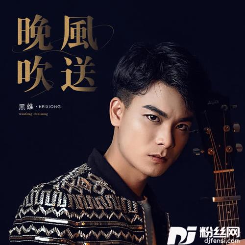 晚风吹送Dj金诚ProgHouseRmx2020的专辑