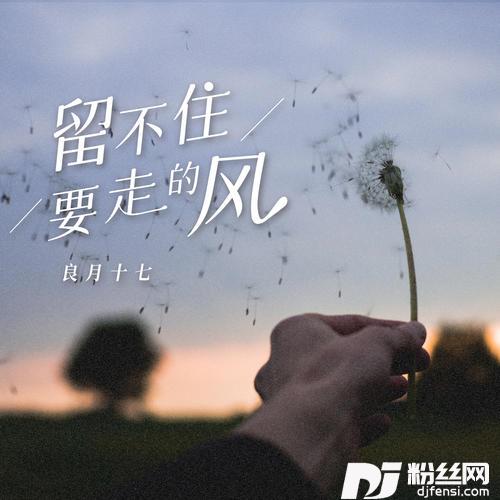 没有期待的想念的专辑