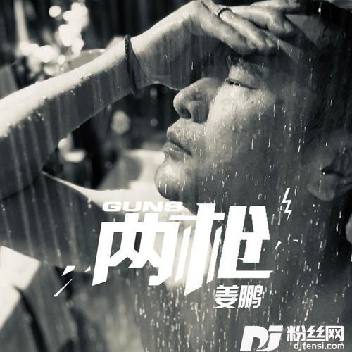两枪DJ小鱼儿版