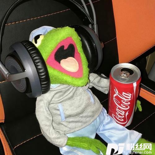 LikeILoveYoucover:R.I.O.