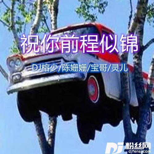 孤独DJ版的专辑