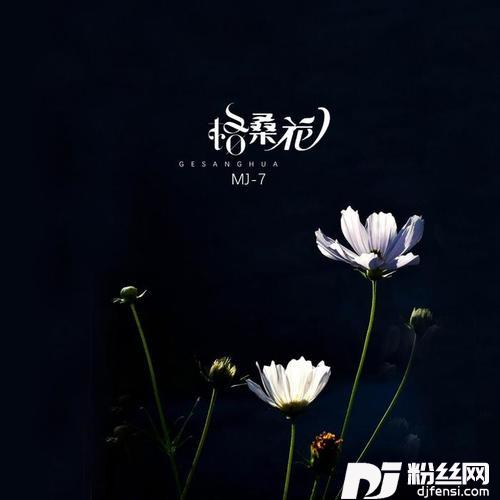 格桑花
