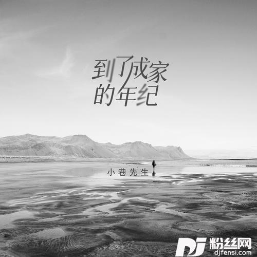 到了成家的年纪的专辑