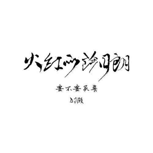 火红的萨日朗DJ名龙Mix的专辑