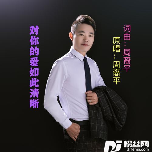 对你的爱如此清晰DJ版