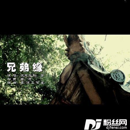 兄弟缘