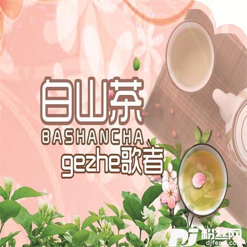 白山茶的专辑