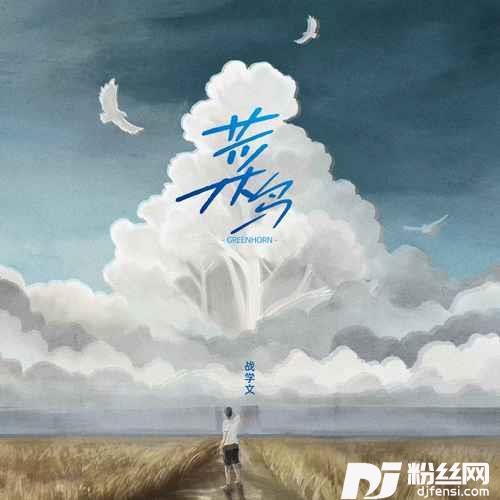 菜鸟