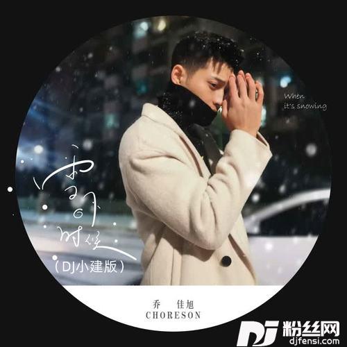 雪下的时候DJ小建版的专辑