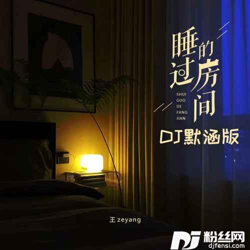 睡过的房间DJ默涵版