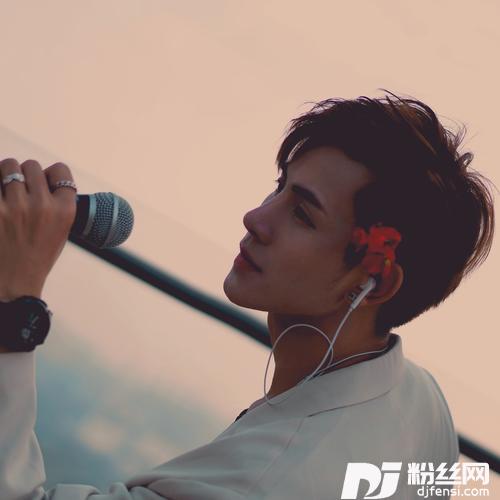 我想去流浪